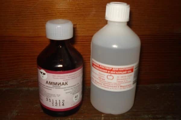 Amoniak je nejlepším pomocníkem v boji proti švábům