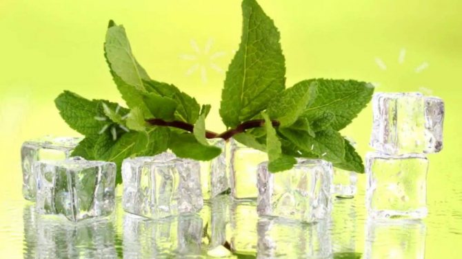Natural mint tea is a drink with a long history that saturates, refreshes, heals, has a fragrant aroma