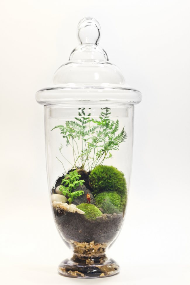 A small florarium with your own hands with a composition of mountainous terrain