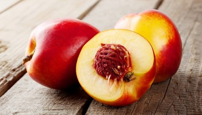 Nektarin är en typ av persika, men dess frukt har en jämn hud.