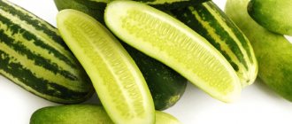 unusual varieties of cucumbers