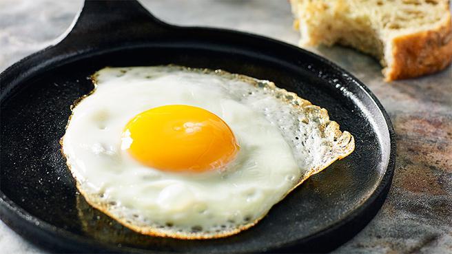 Lägger en höna ägg utan en tupp?