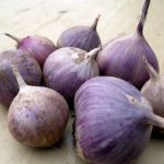 Several heads of garlic