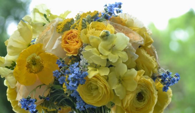 forget-me-not photos of flowers bouquets