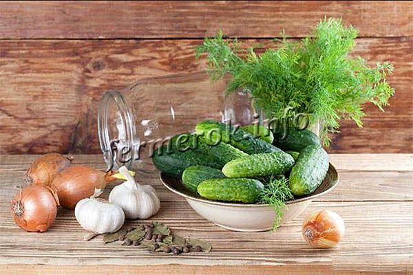 Nizhyn cucumbers are just perfect for pickling and pickling