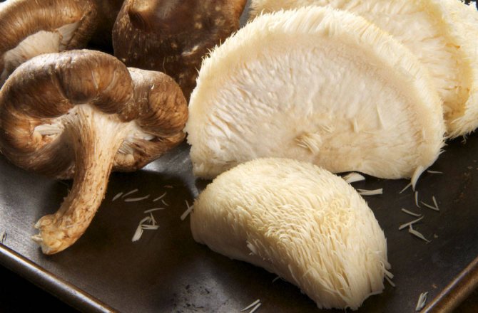 do i need to boil mushrooms before frying