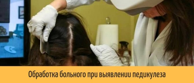 Treatment of the patient when head lice is detected