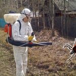 treatment of cottages from ticks