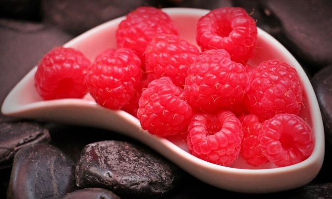 processing raspberries in the spring from diseases and pests-4