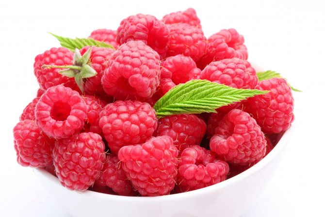 processing raspberries in the spring from diseases and pests-4