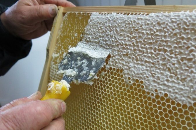 Преработка на пчелна пита