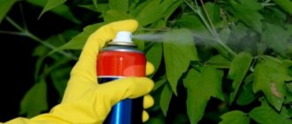 معالجة النباتات بمبيدات الفطريات
