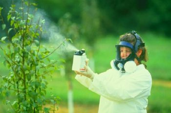 Treatment of the garden with pesticides