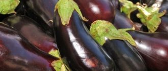 En förutsättning för frysning av aubergine är preliminär blötläggning