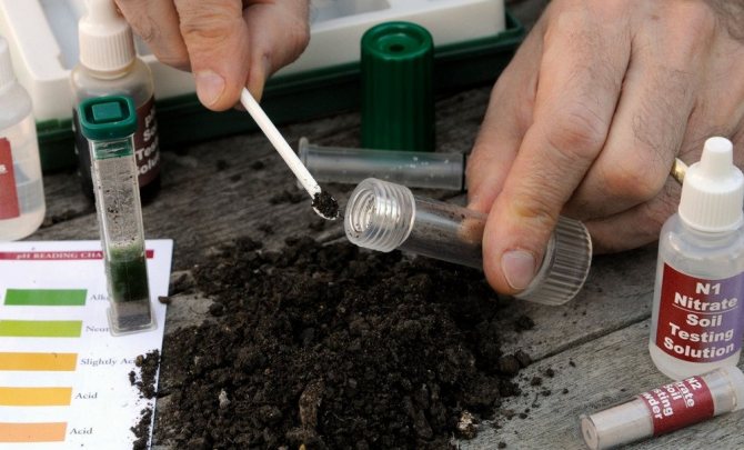 Evaluarea acidității solului