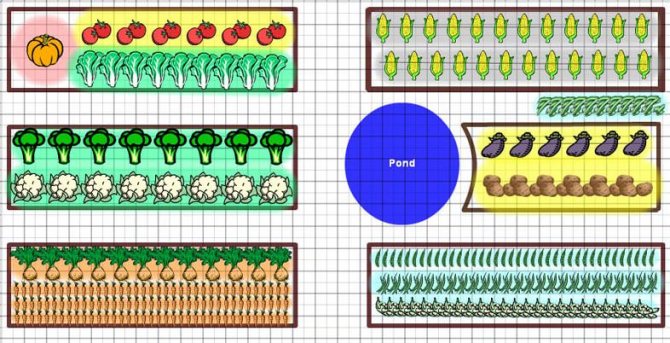One of the simplest and most popular solutions for the implementation of crop rotation in the conditions of home gardening, is based on the division of vegetable garden crops into several main groups