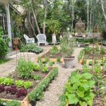 a garden without hassle for the elderly