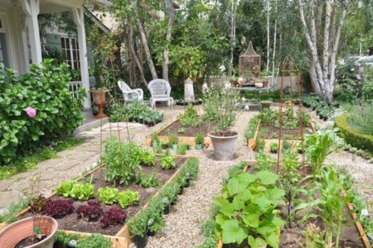 a garden without hassle for the elderly