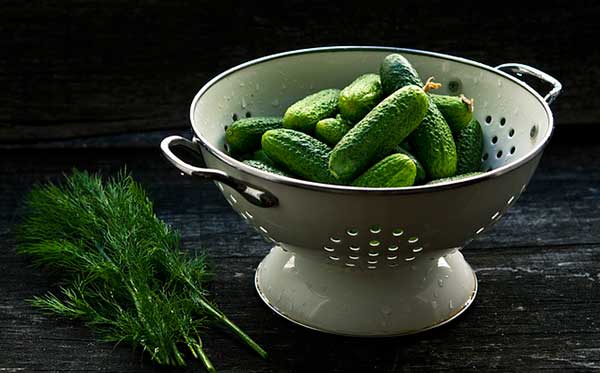 cucumbers and dill