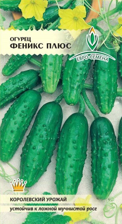 cucumber grade Phoenix plus mga review