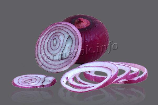 Onion color burgundy with purple tint