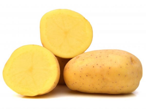 Описание на картофения триумф