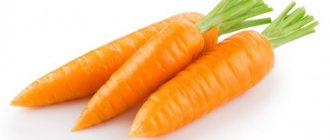 Beschreibung der Karotten Karotel