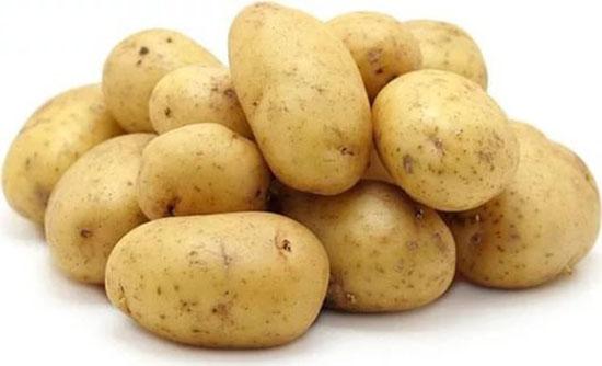 Beskrivning av potatisvarianter Särdrag av odling och vård