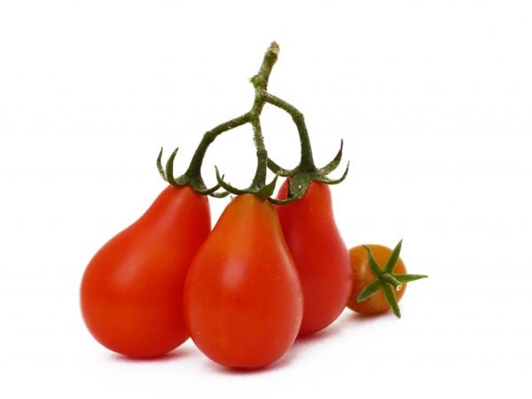 Beskrivning av tomat Päronröd