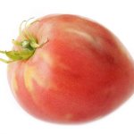 Paglalarawan ng tomato Nastenka