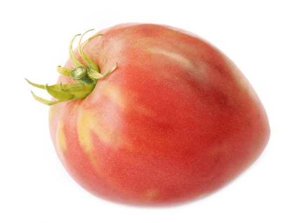 Description of tomato Nastenka