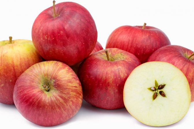 Description des pommes Welsey