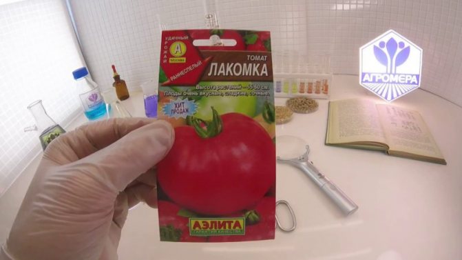 Ar pomidoras pateisina savo pavadinimą?