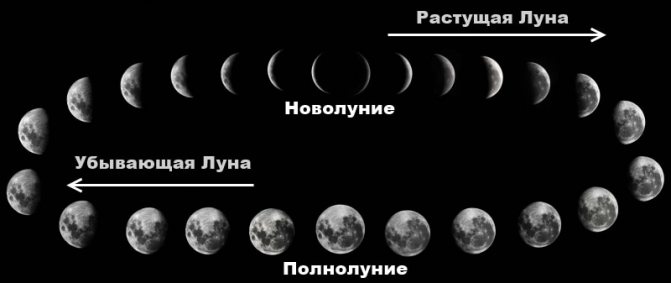 يساعد التقويم القمري في تحديد الأيام المواتية وغير المواتية للهبوط.