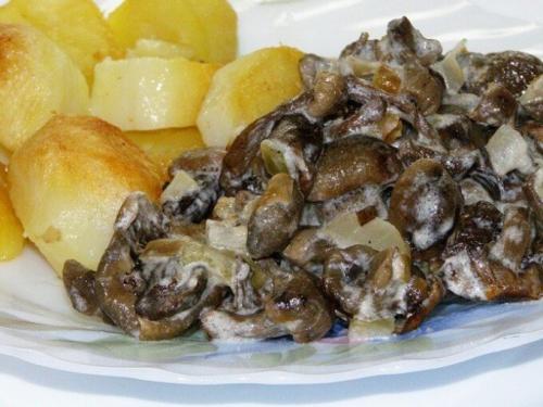 Cultivated mushrooms, how to cook. How to cook meadow mushrooms correctly