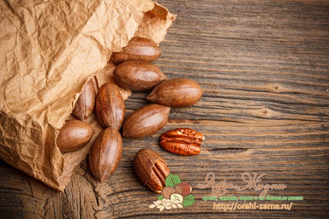 pecans benefits and harms