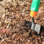 Organic fertilizer for trees and shrubs