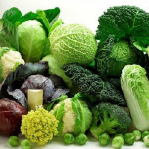 The main types of cabbage with photos and names