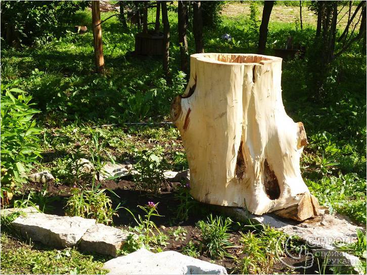An ordinary tree stump can become the basis of the composition.