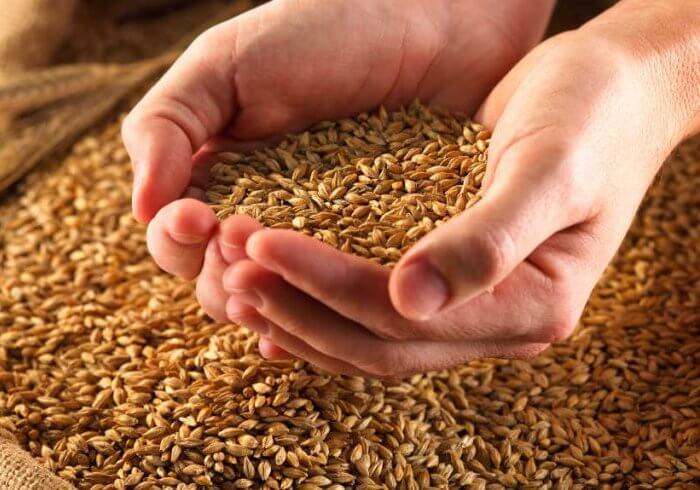 Grains are the basis of the diet.