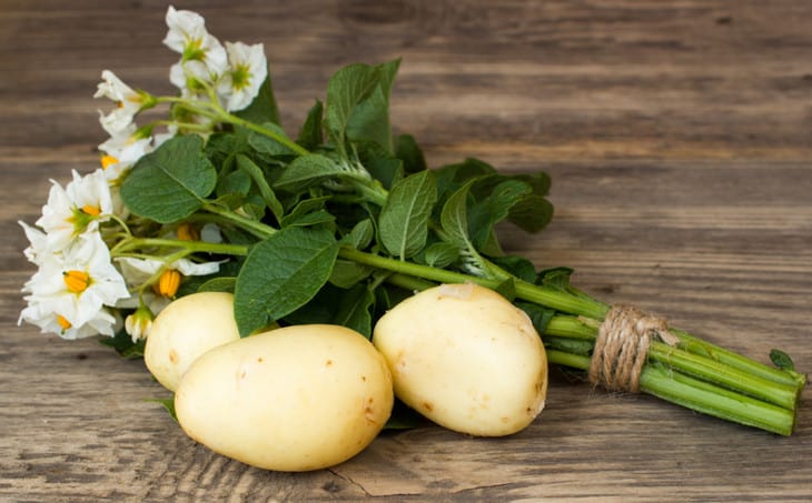 Какво може да замрази картофите