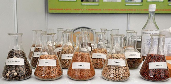 Selection of seed and planting material
