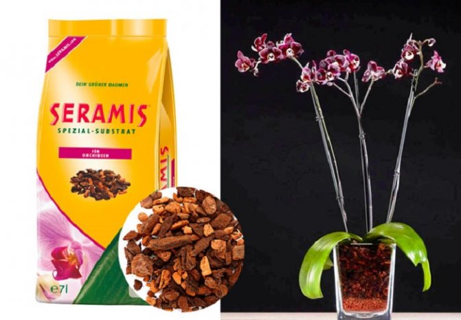 The German substrate "Seramis", which is a mixture of bark and clay granulate, has earned excellent reviews. However, this product is very expensive - an average of 600 rubles will have to be paid for 2.5 liters.