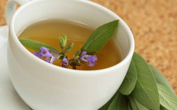 Throat decoction (for cough)