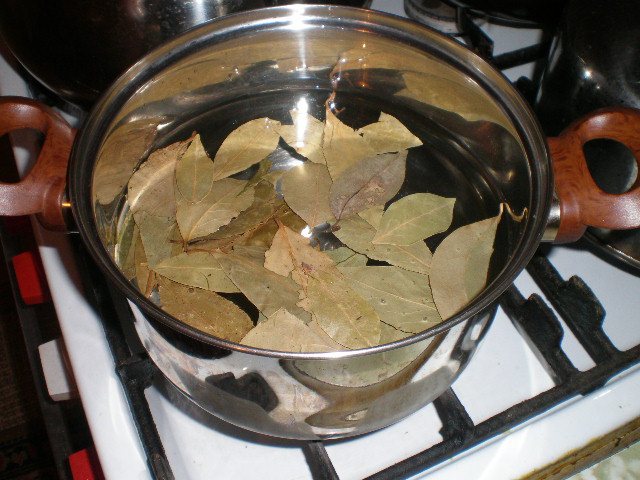 Decoction of bay leaves photo