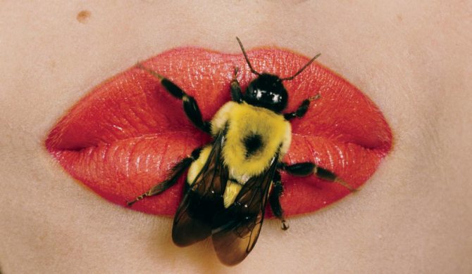 Biene auf den Lippen