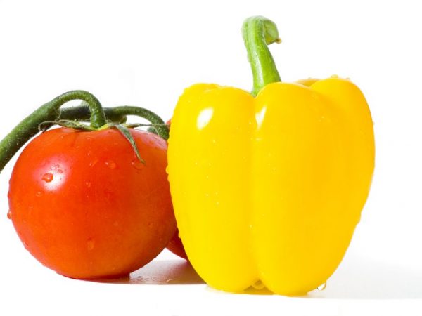 Paprika planteras med plantor