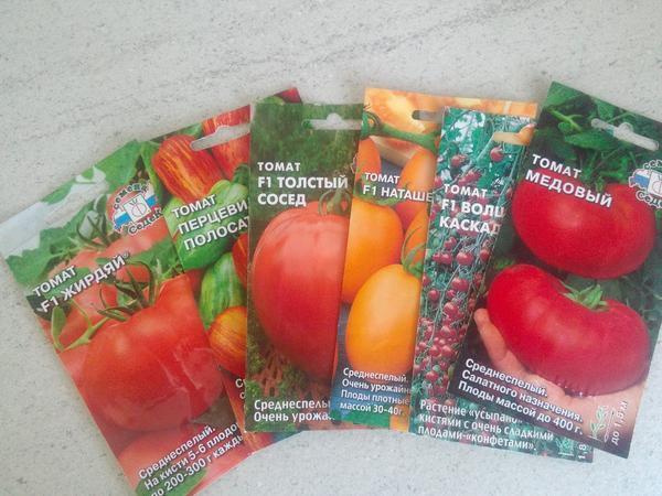 Innan du väljer en viss tomatvariant bör du läsa beskrivningen på baksidan av förpackningen med frön.