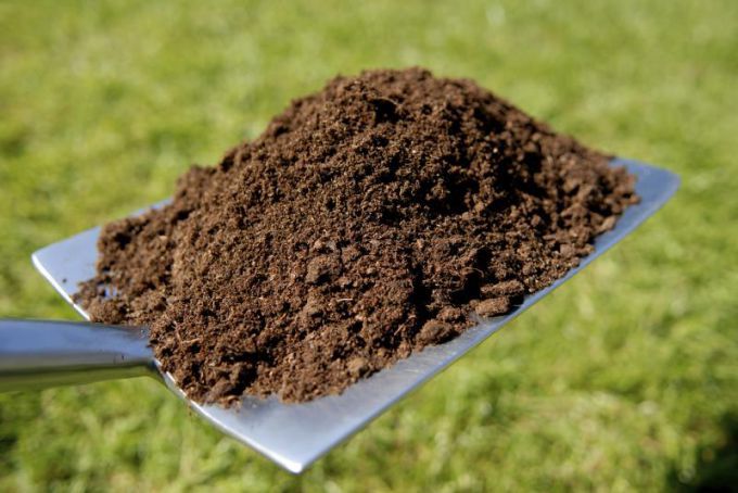 Humus is considered the healthiest and most nutritious type of manure