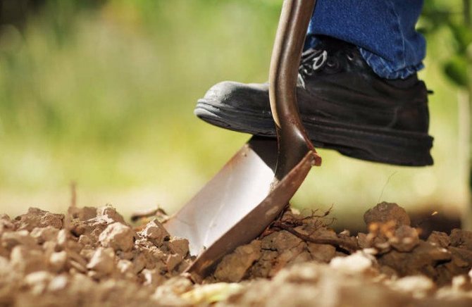 Изкопаване на почвата